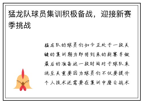 猛龙队球员集训积极备战，迎接新赛季挑战